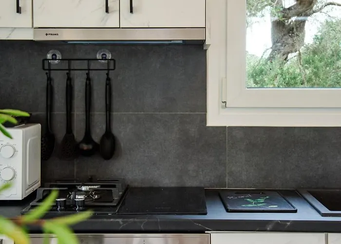 Spiti Milioris Σπίτι διακοπών Λευκίμμη