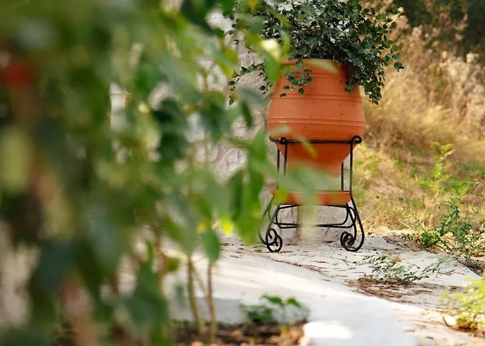 Σπίτι διακοπών Spiti Milioris *