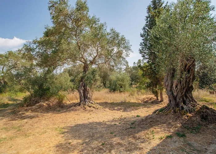 Spiti Milioris * Λευκίμμη