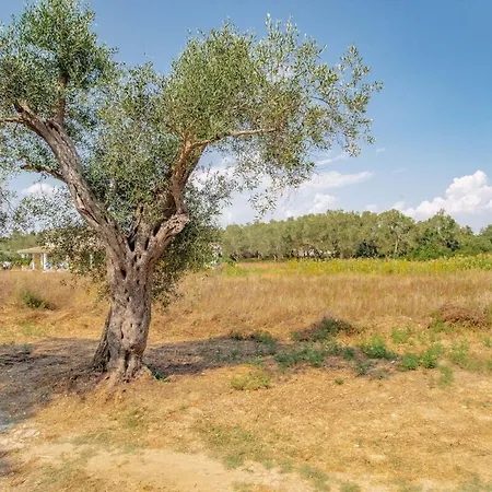 Spiti Milioris * Lefkimi