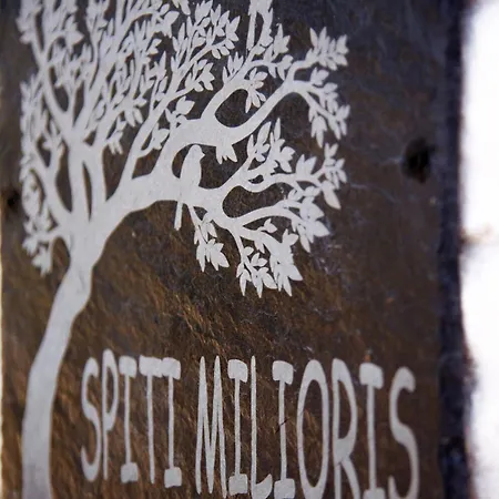 Spiti Milioris Vakantiehuis Lefkímmi