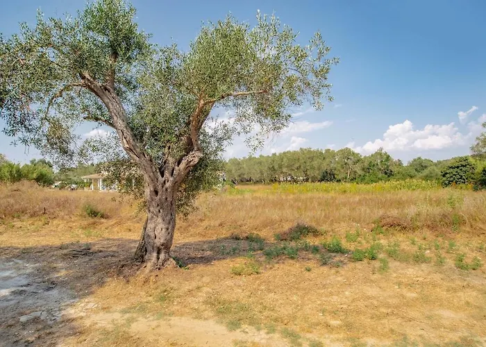 Spiti Milioris * Lefkimmi (Corfu)