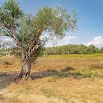 Spiti Milioris * Lefkimmi (Corfu)